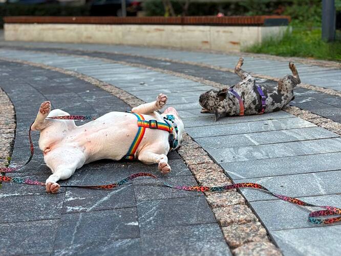 photo_2025-08-11_16-56-57