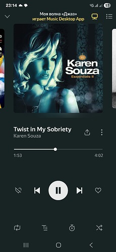 Screenshot_20250510_231442_Yandex Music
