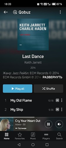 Screenshot_20250403_182008_com_lenbrook_sovi_bluesound_MainActivity