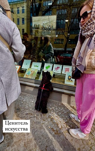 Венька Берлин