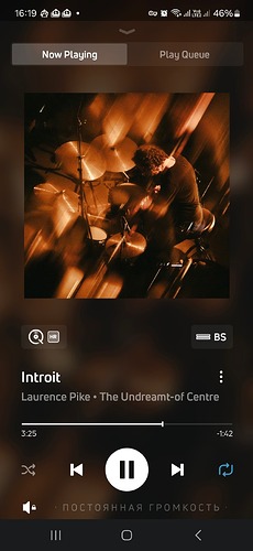 Screenshot_20250111_161937_BluOS