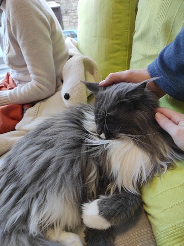 IMG-db16ee5a7d31f7b1be819758c076917d-V