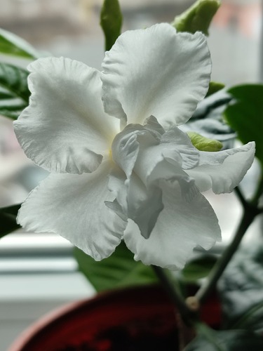 IMG_20240509_183625