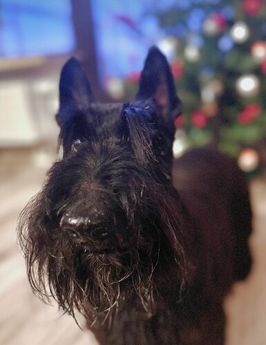 Screenshot_2024-12-30-13-16-54-364_com.instagram.android-edit~2