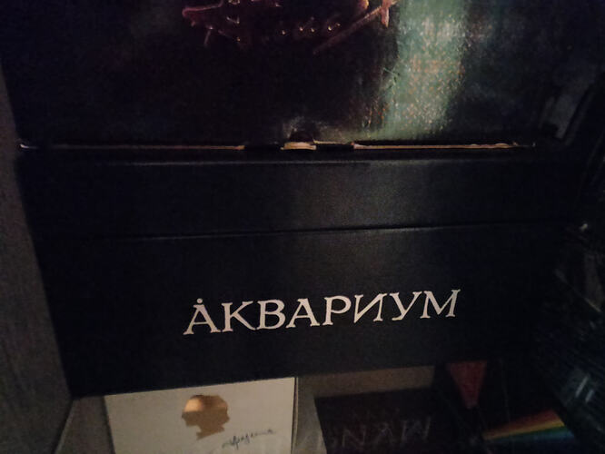 IMG_2025_09_27_12_55_24_1591388414665296374125