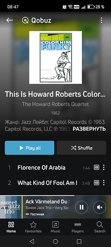 Screenshot_20250420_084754_com_lenbrook_sovi_bluesound_MainActivity