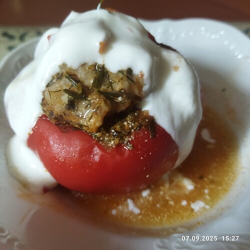 IMG_20250907_152730_copy_800x800