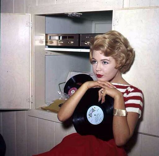 Sandra Dee From Between the 1950s and 1960s (22)
