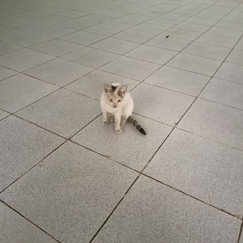 IMG20241024110136