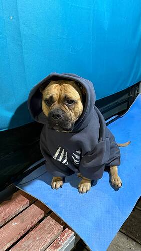 IMG_20250827_224939_212