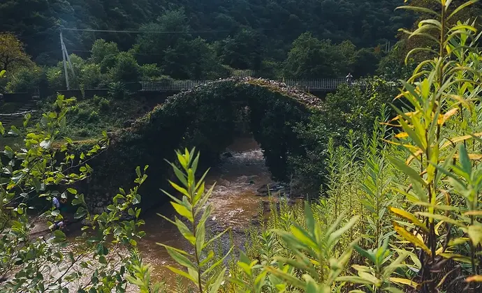 2022-09-08 15-13-52_1662726041089.JPG