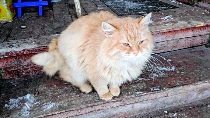 IMG_20260101_125019_423~2