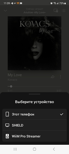 Screenshot_20230521_113959_Yandex Music