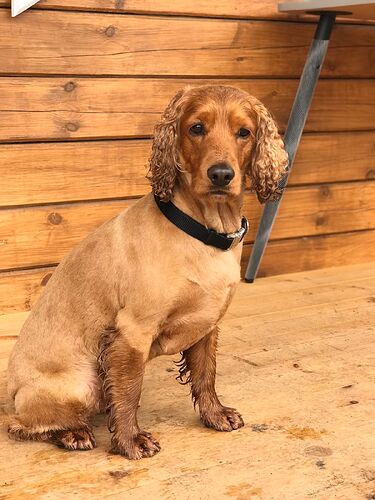 Изображение WhatsApp 2025-08-18 в 13.25.44_a8bb8cd8