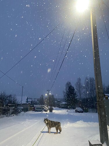 IMG_20251227_094930_966