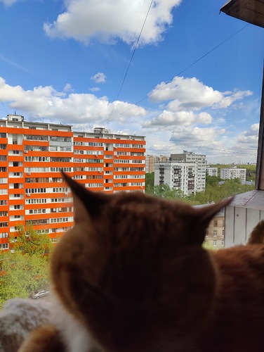 IMG20250510161017
