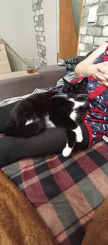 IMG_20260208_221137_966