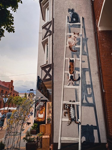 Зеленоградск-12