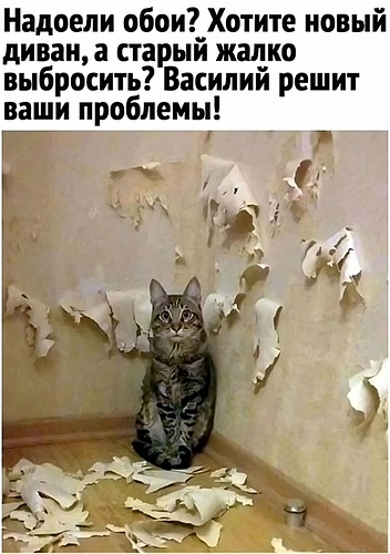 новый диван