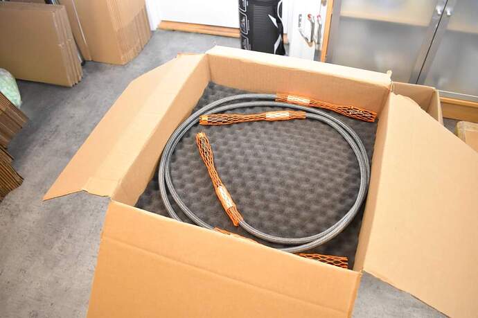 FB_IMG_1713508723728