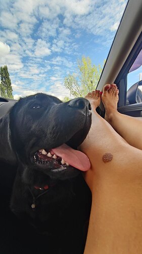 IMG_20250827_164408_903