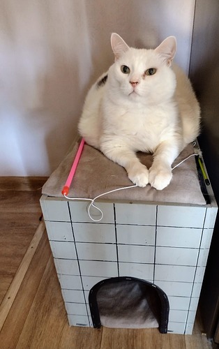 IMG_20230211_125337078_2