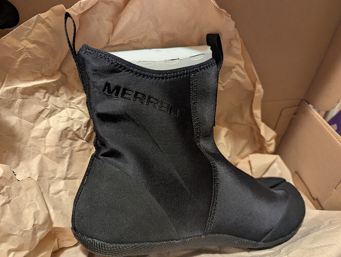 PXL_20260214_070302874