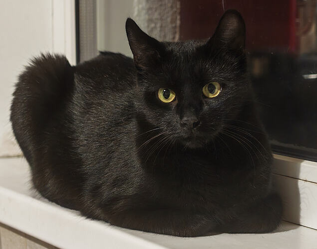 IMG_20251231_081645~2