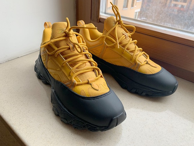 Reebok_DMX_Trail_Shadow