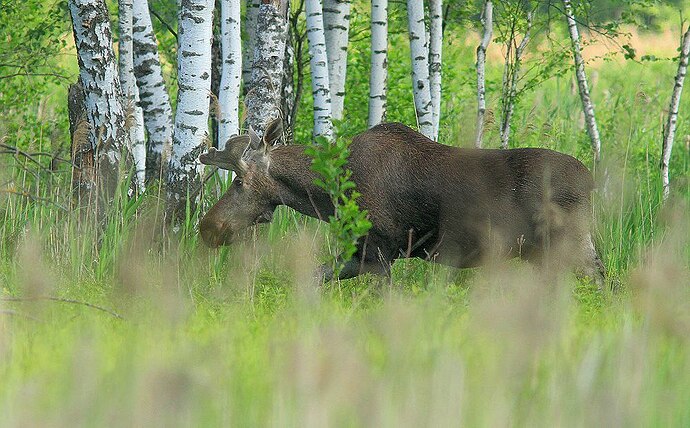 photo_2025-06-14_16-28-41