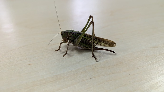 PXL_20240807_040143974