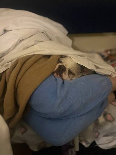 photo_2025-12-23_16-16-29