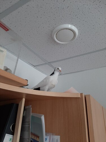 -5195112778644441808_121