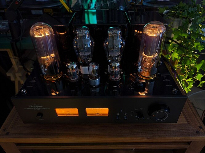 photo_2022-05-04_23-33-37