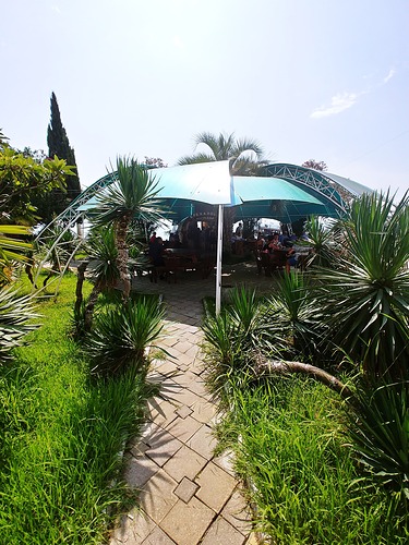 20190822_110932_HDR