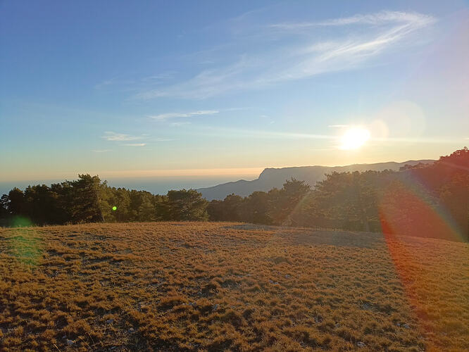 IMG_20251101_170331_712