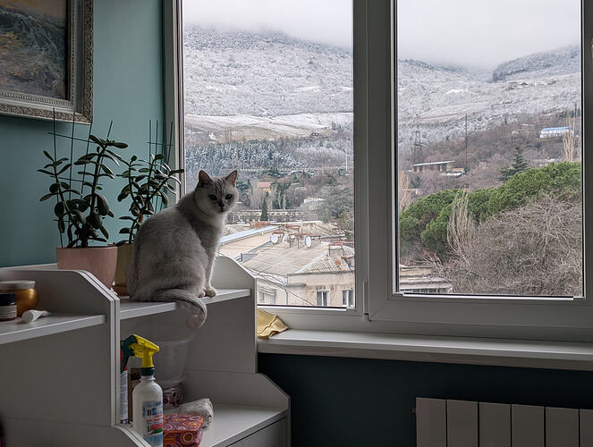 PXL_20260204_122725413