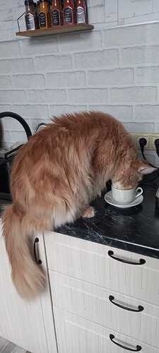 IMG-20250312-WA0009