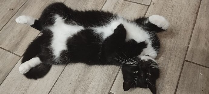 photo_2026-01-24_23-52-00