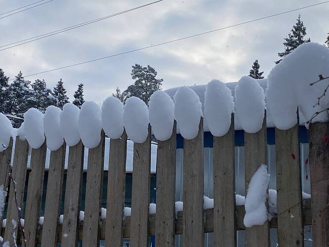 IMG_20260111_183119_336