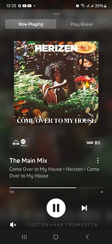 Screenshot_20250112_133507_BluOS