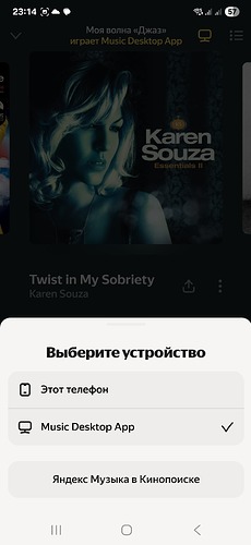 Screenshot_20250510_231447_Yandex Music