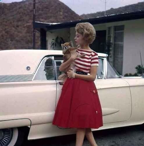 Sandra Dee From Between the 1950s and 1960s (21)