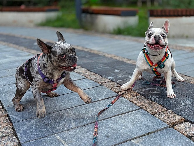 photo_2025-08-11_16-57-55