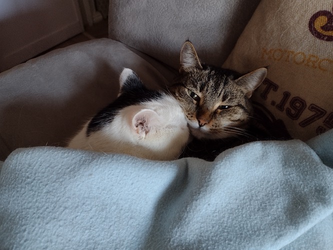 IMG_20230211_125309934