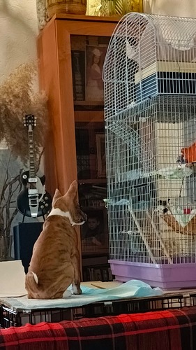 WhatsApp Image 2025-04-11 at 13.42.17