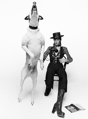bowie carmen 2