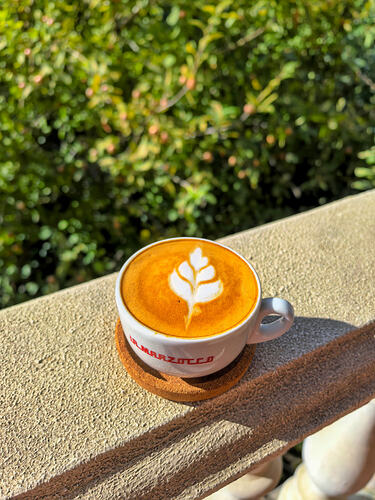 IMG_20251003_095520-02