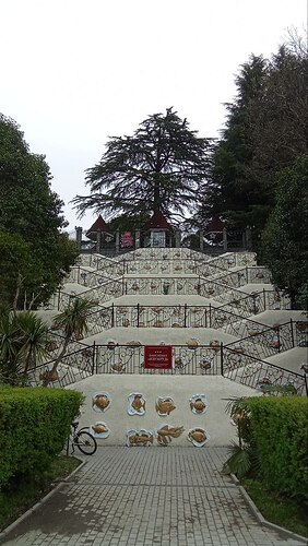 IMG_20250319_124258_580