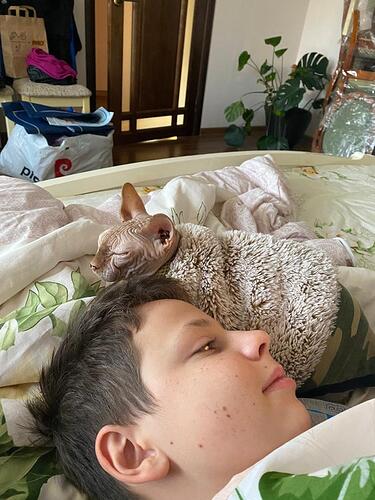 IMG-20230103-WA0000